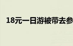 18元一日游被带去参观墓地 到底是啥情况