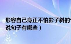 形容自己身正不怕影子斜的句子（关于身正不怕影子斜的说说句子有哪些）