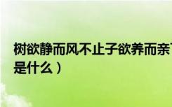 树欲静而风不止子欲养而亲下一句（树欲静而风不止下一句是什么）