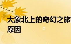 大象北上的奇幻之旅 根本不浪漫 到底是什么原因