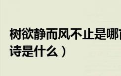 树欲静而风不止是哪首诗（树欲静而风不止全诗是什么）