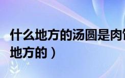 什么地方的汤圆是肉馅儿的（肉馅汤圆是什么地方的）