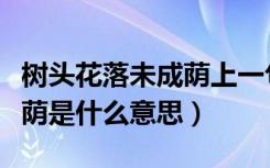 树头花落未成荫上一句是什么（树头花落未成荫是什么意思）