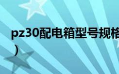 pz30配电箱型号规格尺寸图片（pz30配电箱）