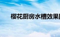 樱花厨房水槽效果图（樱花厨房水槽）