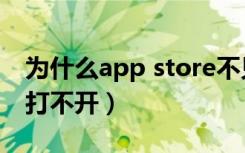 为什么app store不见了（为什么app store打不开）