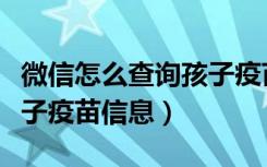 微信怎么查询孩子疫苗记录（微信怎么查询孩子疫苗信息）