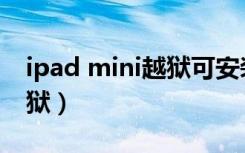 ipad mini越狱可安装的游戏（ipad mini越狱）