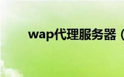 wap代理服务器（网一代理服务器）