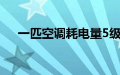 一匹空调耗电量5级（一匹空调耗电量）