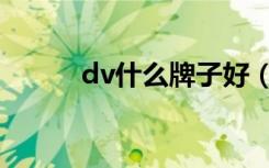 dv什么牌子好（dv什么牌子好）