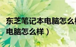 东芝笔记本电脑怎么样查看尺寸（东芝笔记本电脑怎么样）