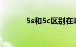 5s和5c区别在哪（5s 5c区别）