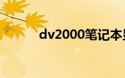 dv2000笔记本显卡（dv2000）