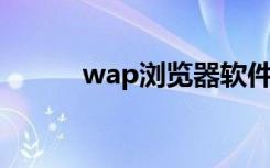 wap浏览器软件（wap 浏览器）