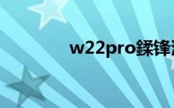 w22pro鍒锋満（w22pro）