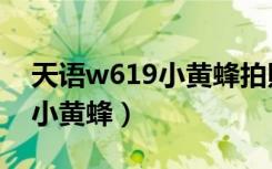 天语w619小黄蜂拍照效果怎样（天语w619小黄蜂）