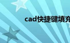 cad快捷键填充（cad快捷键）