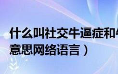 什么叫社交牛逼症和牛杂症（社交牛杂症什么意思网络语言）