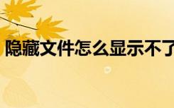 隐藏文件怎么显示不了（隐藏文件怎么显示）