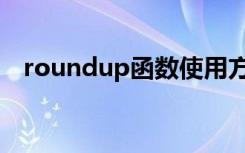 roundup函数使用方法（roundup函数）