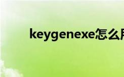 keygenexe怎么用（keygen exe）