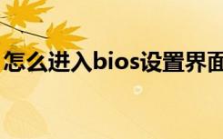 怎么进入bios设置界面（怎么进入bios设置）