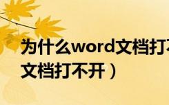 为什么word文档打不开密钥（为什么word文档打不开）