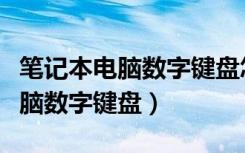 笔记本电脑数字键盘怎么打开使用（笔记本电脑数字键盘）