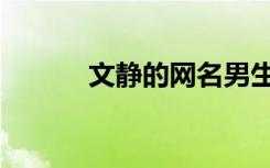 文静的网名男生（文静的网名）