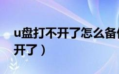 u盘打不开了怎么备份里面的数据（u盘打不开了）