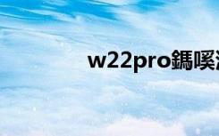 w22pro鎷嗘満（w22pro）