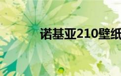 诺基亚210壁纸（诺基亚 210）