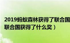 2019蚂蚁森林获得了联合国什么奖（2019年9月蚂蚁森林在联合国获得了什么奖）