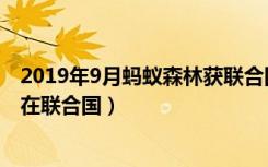 2019年9月蚂蚁森林获联合国什么奖（2019年9月蚂蚁森林在联合国）