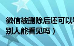 微信被删除后还可以看见对方状态（微信状态别人能看见吗）