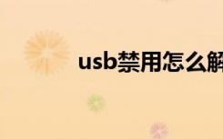 usb禁用怎么解除（usb禁用）