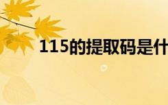 115的提取码是什么（115 提取码）