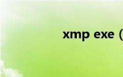 xmp exe（xmp exe）