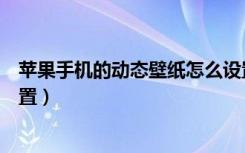 苹果手机的动态壁纸怎么设置（苹果手机的动态壁纸如何设置）