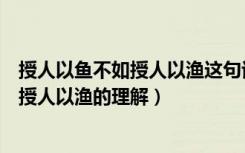 授人以鱼不如授人以渔这句话的意思是什么（授人以鱼不如授人以渔的理解）