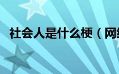 社会人是什么梗（网络语社会人什么意思）