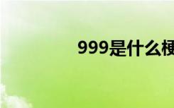 999是什么梗（999解释）