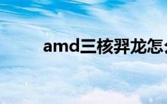 amd三核羿龙怎么样（amd三核）