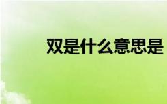 双是什么意思是（含双字的成语）