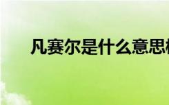 凡赛尔是什么意思梗（什么是凡尔赛）