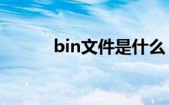 bin文件是什么（何谓bin文件）