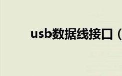 usb数据线接口（usb数据线接口）