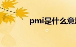 pmi是什么意思（pmi简介）