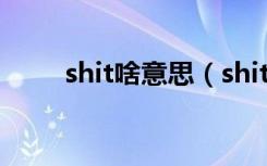 shit啥意思（shit中文是什么意思）